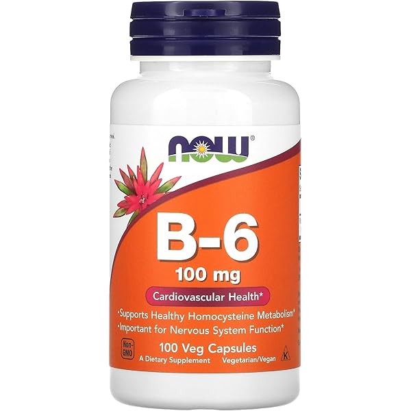 NOW VITAMIN B-6 100MG